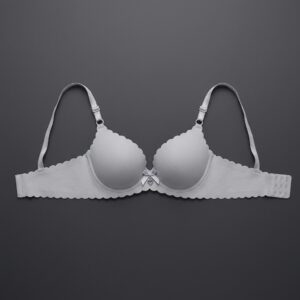 Silver Silk Bra