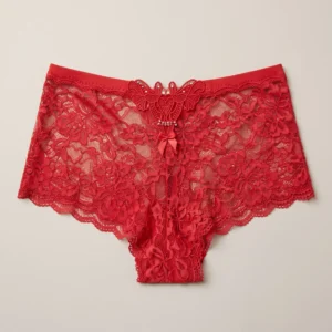 Her Grace Crimson Red Floral Lace High-Waist Brief Panty