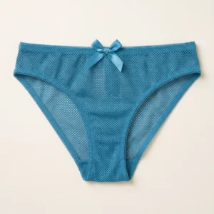Lacelle Teal Blue Mesh Lace Bikini Panty